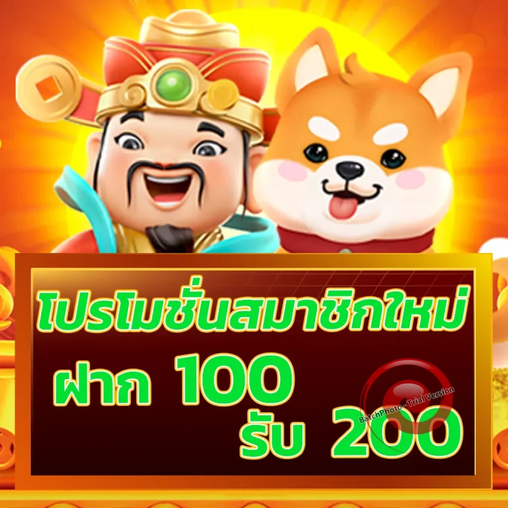 lotto up auto